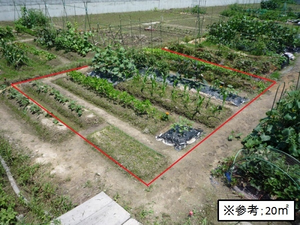 堺土塔町農園
